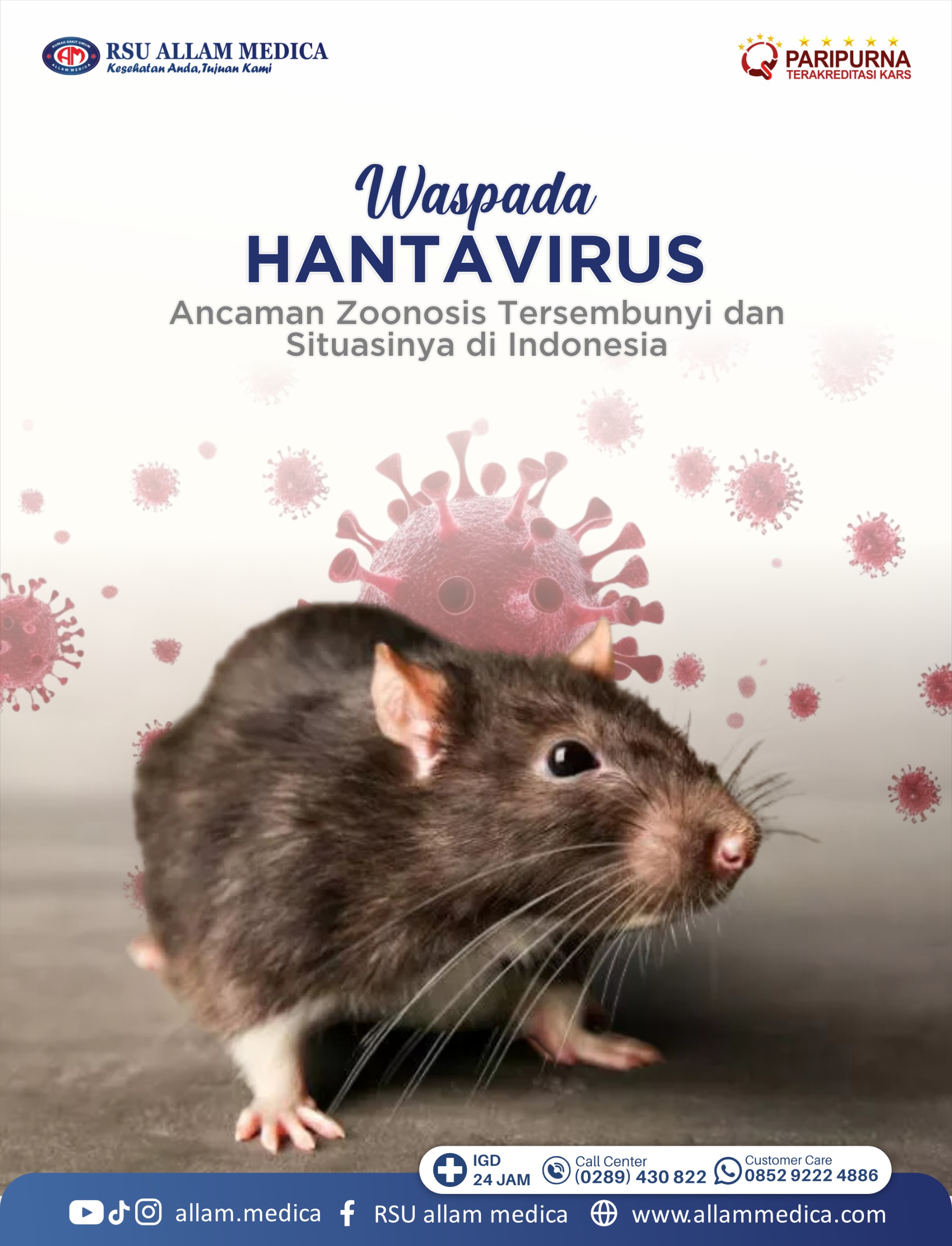 Waspada Hantavirus: Ancaman Zoonosis Tersembunyi dan Situasinya di Indonesia